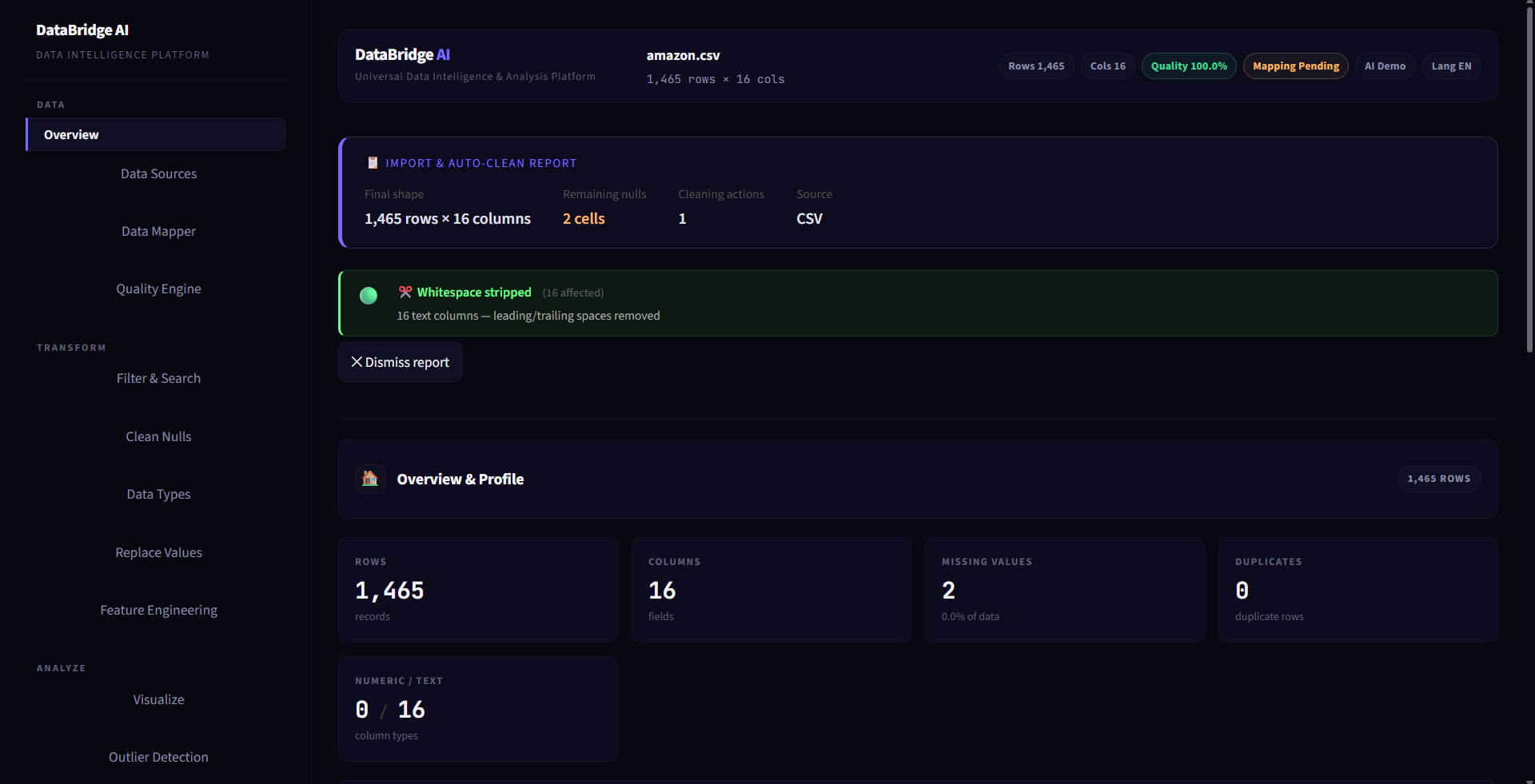 DataBridge AI Screenshot